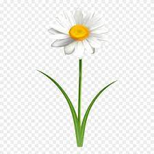 Search and download free hd daisy flower png images with transparent background online from lovepik.com. Free Png Download Daisy Flower Transparent Png Images Daisy Flower Transparent Background Clipart 4168335 Pinclipart