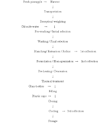 flow scheme for the production of tropical pineapple juice