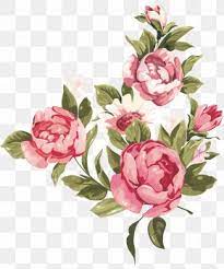 Download blush flower cliparts and use any clip art,coloring,png graphics in your website, document or presentation. Blush Pink Flower Images Blush Pink Flower Transparent Png Free Download