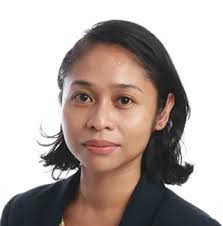 Cyber Mercenaries: The Failures of Current Responses and the Imperative of  International Collaboration