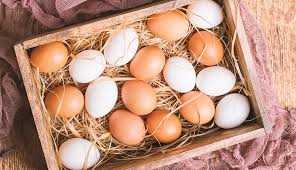 Just like in menstruating mammals, the development and release of from here now, it becomes pretty evident the key things that should define why a period occurs now if all chicken eggs are supposed to be fertilized, yet some manage to come out unfertilized, what. How To Tell Fertilized Chicken Egg From Unfertilized Egg Hobby Farms