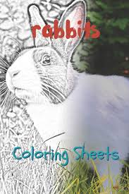 Download or print this amazing coloring page: Amazon Com Rabbit Coloring Sheets 30 Rabbit Drawings Coloring Sheets Adults Relaxation Coloring Book For Kids For Girls Volume 5 9781797658858 Smith Julian Books