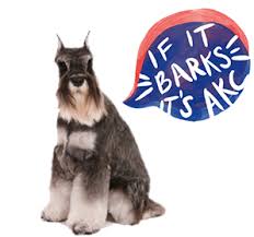 Beagle classifieds if it's beagle oriented, you can buy, sell, and trade it here. American Kennel Club