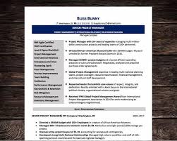 Then, with some experience under your belt, the guidance of a coach is key. Senior Project Manager Resume Cv Template Microsoft Word Etsy