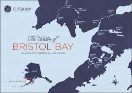 The Waters Of Bristol Bay Alaska S Sockeye Salmon Bristol Bay Sockeye Salmon Sockeye