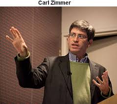 Sandwalk: We Called Out IDiot Jonathan Wells, and He Folded