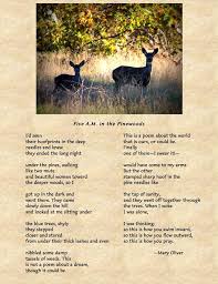 Mary Oliver Hope Poems About The World Mary Oliver The Longest Night