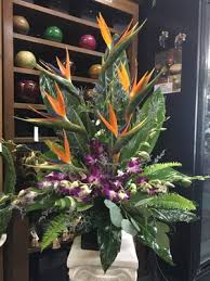 Maybe you would like to learn more about one of these? Black Forest Flowers And Gifts 3426 Tampa Rd Palm Harbor Fl Florists Mapquest