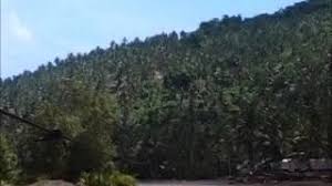 We did not find results for: Destination Guide Carrascal Caraga Province Of Surigao Del Sur In Philippines Tripmondo