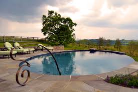 Infinity Edge Oval Pool With Custom Handrail Custom Swimming Pool Pool Rails Luxury Pools Backyard