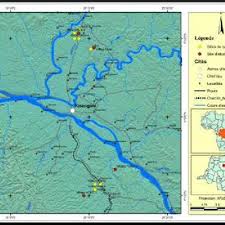 Image result for Leptonychia tokana