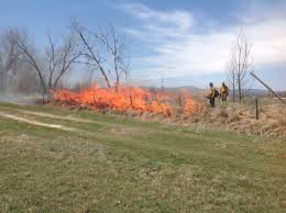We did not find results for: Open Burning And Fire Pits Poudre Fire Authority