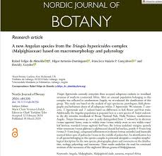 Image result for Triaspis hypericoides