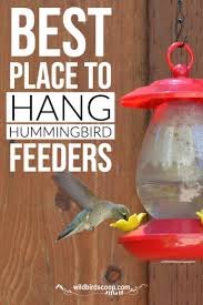 Where To Hang Your Hummingbird Feeder In Your Yard Humming Bird Feeders Hummingbird Feeder Recipe Bird Feeders