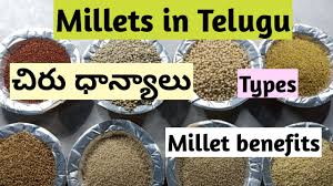 Millets In Telugu Millet Benefits Types Of Millets In Telugu Youtube
