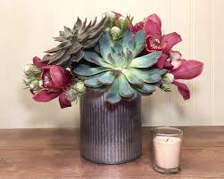 At that point nip the baby or new succulent and plant them like the cuttings. No Grit No Pearl Succulent Arrangement In Saint Paul Mn Iron Violets Design Studio