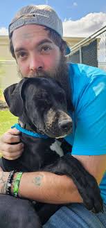 I rescued this dog a couple days￼ before thanksgiving ￼if you know the  owner, please contact me I cannot keep no more dogs I already got 2 dogs￼  It had thorns in