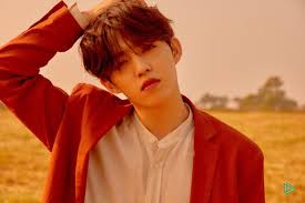 Lee ji hoon (이지훈) grup musik: Biodata Profil Dan Fakta S Coups Kpopkuy