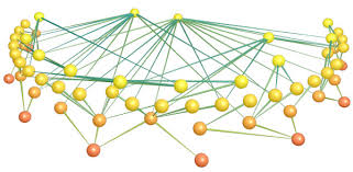From sunlight and photosynthesis to plants and animals, food chains are critical to our ever changing natural world. Example Of A Complex Food Web In A Real Community Grassland In The Download Scientific Diagram