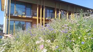 Kleines designhotel inmitten des märchenhaften schwarzwaldes. Hotel Die Alm Oberkirch Holidaycheck Baden Wurttemberg Deutschland