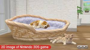 French bulldog and new friends for the nintendo 3ds, there are quite a few breeds you can unlock with trainer points. Nintendogs Cats Review For Nintendo 3ds Cheat Code Central
