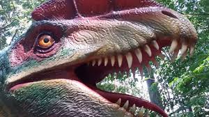 Un meteorit real, extrem de rar, descoperit pe teritoriul româniei și un cuib de ouă reale de dinosaur descoperit în țara hațegului. Dino Parc Rasnov Youtube