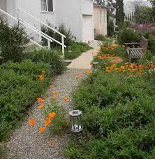A Small California Native Plant Garden In Los Angeles California Native Garden Native Plant Gardening California Garden