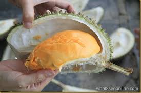 11,893 likes · 5 talking about this · 556 were here. Balik Pulau Durian Farm Visit Pondok Upeh What2seeonline Com