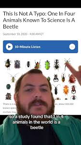 1 in 4 animals is a beetle #thebeatles #science