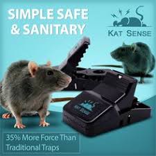 There are two species of rat in britain, rattus norvegicus which is commonly find out everything you need to know about rats in the uk, including whether you're thinking about doing some diy pest control or you're looking to enlist the help of a professional thought needs to be taken when placing poison or traps to ensure they are in a safe and secure. 19 Mouse Traps Pest Control Ideas Mouse Traps Pest Control Traps