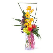 You are reading what to do in murfreesboro, tennessee this weekend back to top or restaurants near me, stuff to do near me. Modern Cymbidium Orchids Bouquet Flower Delivery Middletown De Snap Blooms