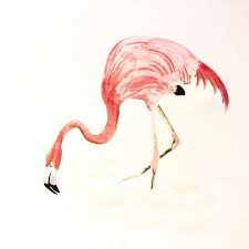 When You Think About Long Necked Critters You Usually Think About Giraffes No This Flamingo Is A Sketch Based On A Phot Melbourne Art Photo Reference Sketches