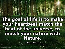  The Goal Of Life Is To Joseph Campbell Dianagarland Com Life Goals Life Beautiful Quotes