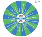 Image result