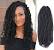 Freetress Spring Twist