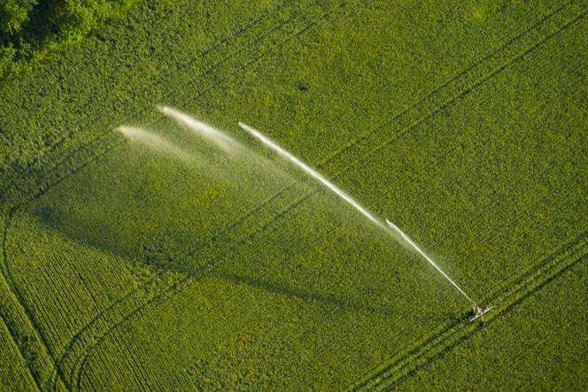 Agriculture : l'Union européenne ne dissuade pas la surconsommation d'eau