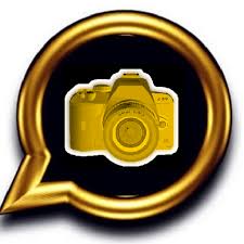 Secret chat, file(all type) share upto 1.5 gb ,5000 group members,super group Gold Video Chat Messenger Apk 1 2 Download Apk Latest Version