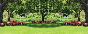 This focal point takes center stage in your landscaping and draws the eye to its environs and even your house. 12 Simple Front Yard Landscaping Ideas Mymove