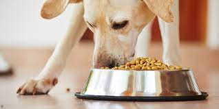 The agency instead pointed to pet food labeled as. Fda Names 16 Brands Of Dog Food Linked To Canine Heart Disease