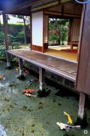 Sementara itu di bagian atas kolam dibuat pipa untuk menyalurkan air bersih yang sudah diendapkan terlebih dahulu. Desain Dan Konstruksi Kolam Ikan For Android Apk Download