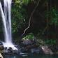 NDIS Accessible Adventure Program - Tamborine Mountain event image
