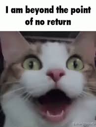 I Am Beyond The Point Of No Return I Am Going Fucking Insane Gif I Am Beyond The Point Of No Return I Am Going Fucking Insane I Have Gone Completely