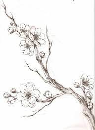 Sakura Branch Tattoo Flores Para Dibujar Cerezos Dibujo Flor De Cerezo Dibujo