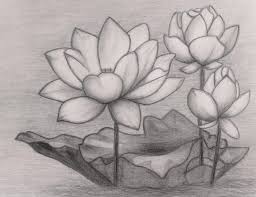 We did not find results for: 29 Lukisan Bunga Mawar 3d 39 Gambar Sketsa Bunga Indah Sakura Mawar Melati Download 11 Flower Drawing Flower Drawings With Color Beautiful Flower Drawings