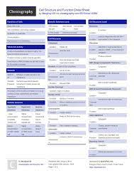 Cell Structure And Function Cheat Sheet By Morghay123 Http Www Cheatography Com Morghay123 Cell Structure Structure And Function Human Anatomy And Physiology