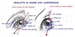 Because drawings of anime eyes are totally related with trigonometry xd. How To Sketch Anime Eyes Step By Step Drawing Guide By Catlucker Dragoart Com