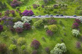 20% off all items · same day delivery · from $19.99 3 Minnesota Road Trips To Enjoy Beautiful Spring Scenery Star Tribune