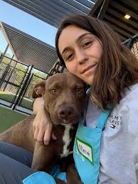 Greyhound defies breed norms by sitting comfortably despite size