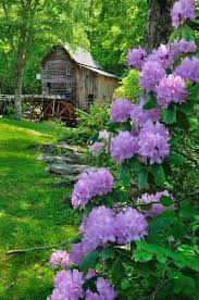 Le Temps Qui Passe Dans Le Jardin D Eugenie Beaux Jardins Jardins Beaux Endroits