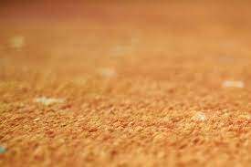Learn more about black mold what does black mold need to grow? How To Fix Water Damaged Carpeting